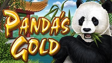 Panda's Gold Video Slot