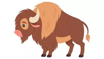 buffalo 